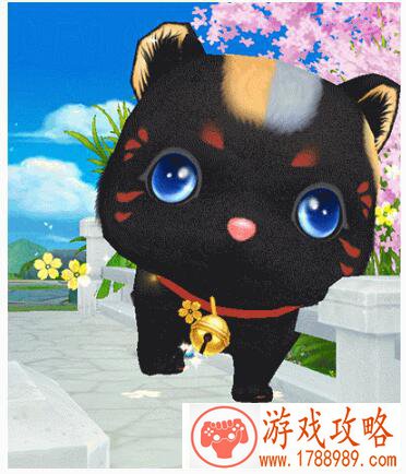 qq炫舞黑色猫咪老师获得方法