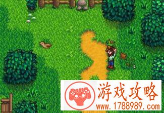 星露谷物语stardewvalley鸡饲料怎么得