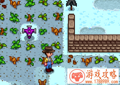 星露谷物语stardewvalley神秘商人位置