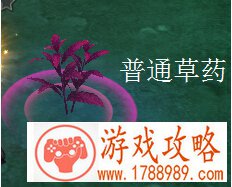 QQ炫舞采药找药